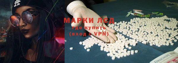 ПСИЛОЦИБИНОВЫЕ ГРИБЫ Новозыбков