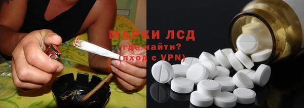 ПСИЛОЦИБИНОВЫЕ ГРИБЫ Новозыбков