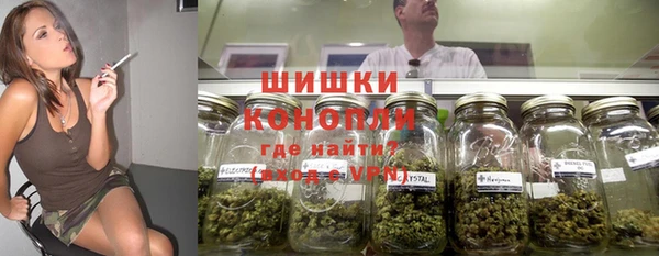 гашик Новокубанск