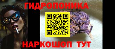 прущие крисы Беслан