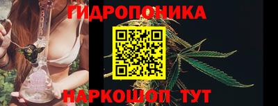 хмурый Бийск