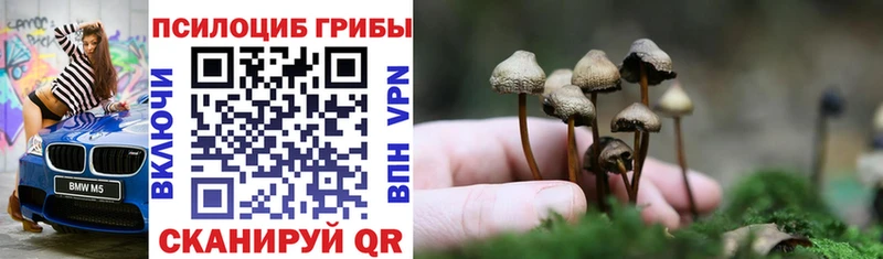 Псилоцибиновые грибы ЛСД  Зеленодольск 
