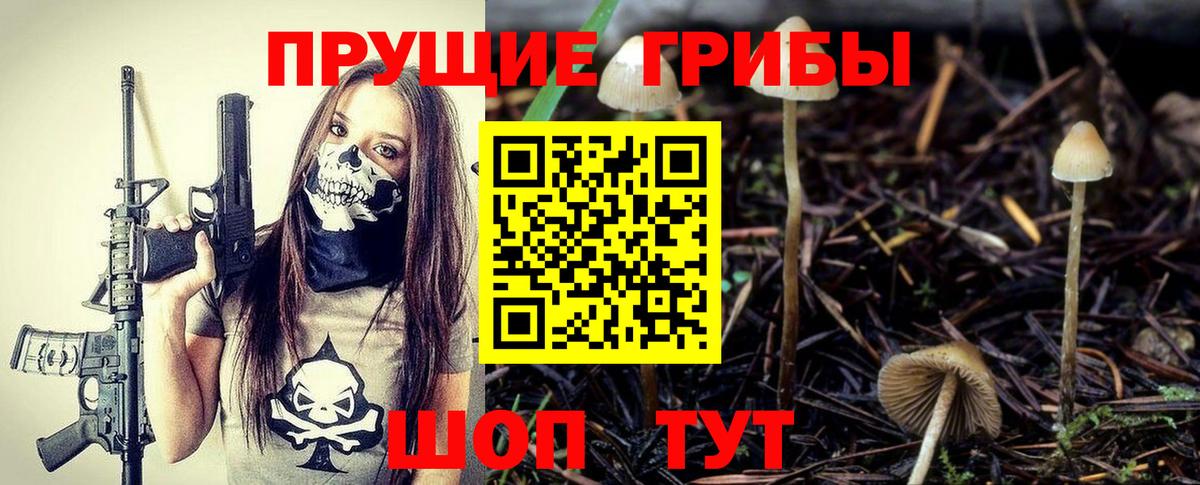 Галлюциногенные грибы MAGIC MUSHROOMS  купить  сайты  Зеленодольск 