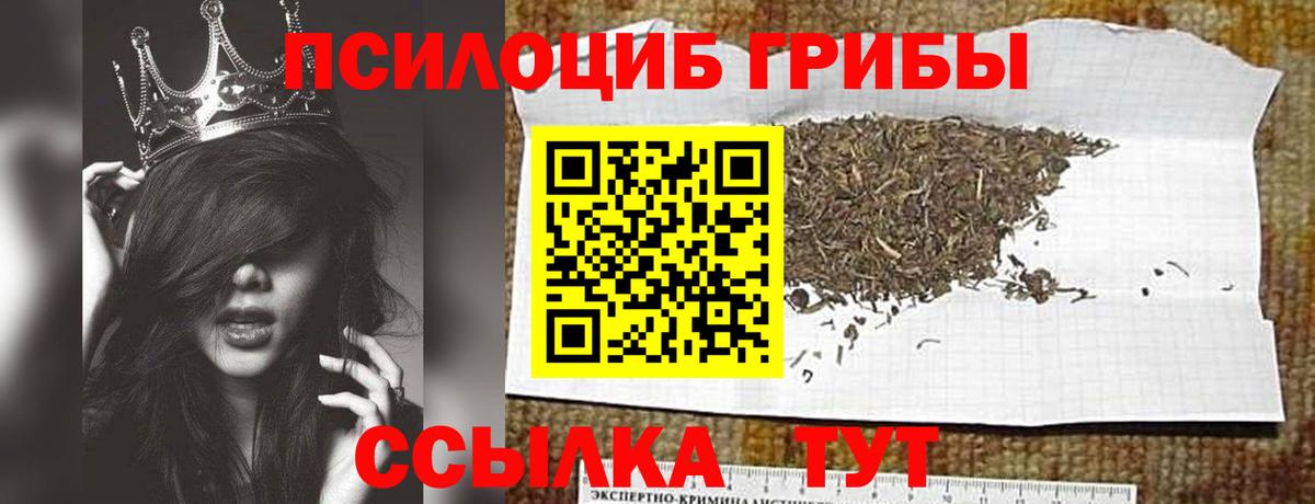 Зеленодольск  где купить   Вход с VPN  Галлюциногенные грибы Magic Shrooms 