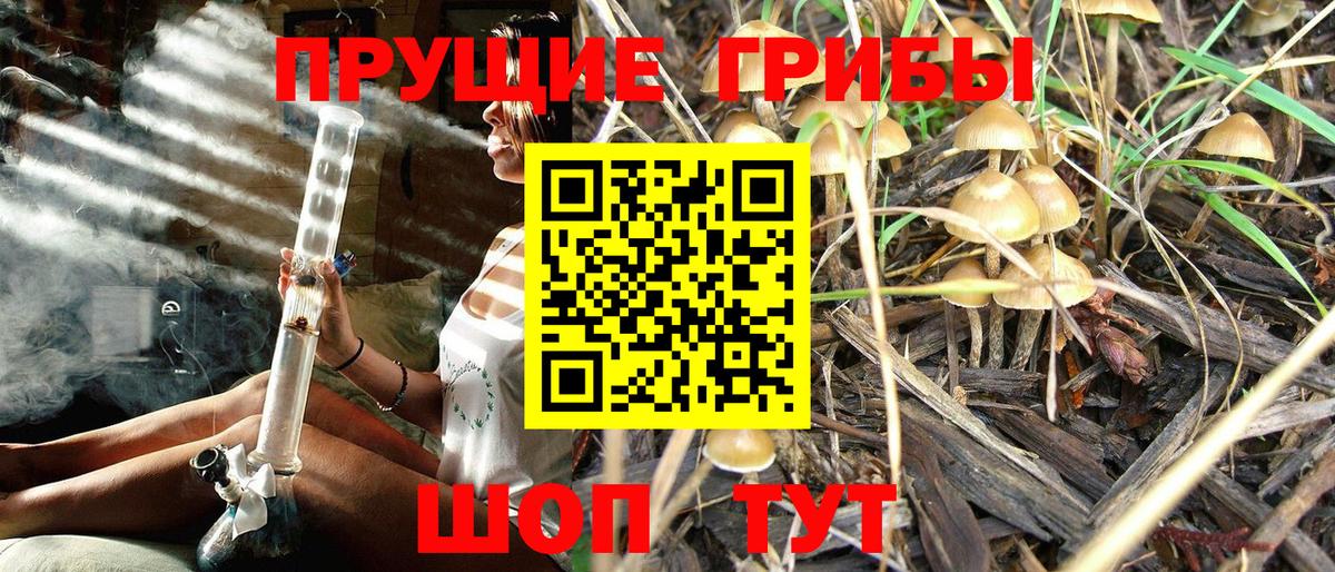 Галлюциногенные грибы Cubensis Зеленодольск