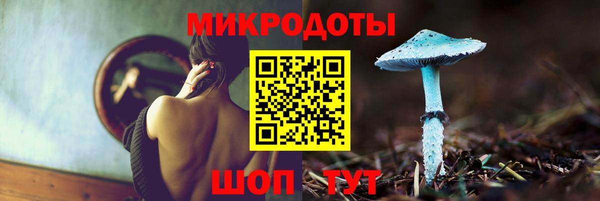Псилоцибиновые грибы Psilocybe Зеленодольск